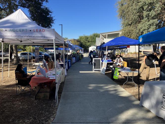 Photos by Lake County Probation